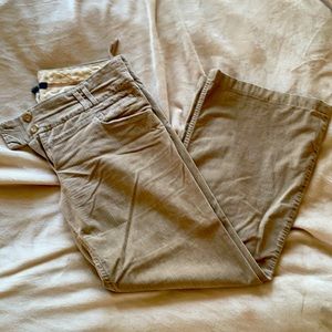 Anthropology slacks